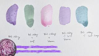 Make Your Own Plantbased Paint [upl. by Inahpets54]