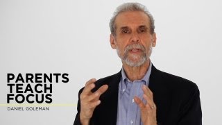 Daniel Goleman Parents Teach Focus [upl. by Azerila]