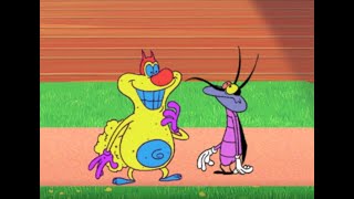 हिंदी Oggy and the Cockroaches  All Out Of Shape S02E86  Hindi Cartoons for Kids [upl. by Nelie]