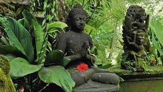 Buddhas Flute Music Zen Garden 7 [upl. by Melville]