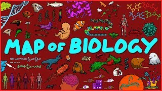 Map of Biology [upl. by Ahsekin]