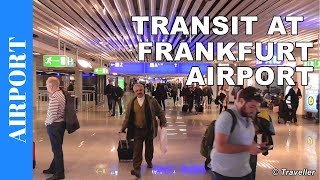 TRANSIT WALK AT FRANKFURT Airport FRA Terminal 1  Connection Flight Transfer Arriving amp Departing [upl. by Guntar]