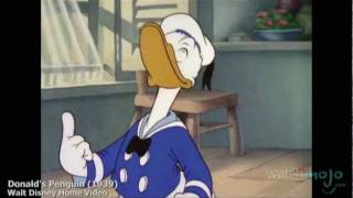 The History of Donald Duck [upl. by Augy]