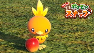 どう考えてもこの写真は10万点ある 05【New ポケモンスナップ】 [upl. by Neri]