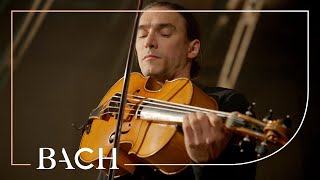 Bach  Cello Suite no 6 in D major BWV 1012  Malov  Netherlands Bach Society [upl. by Malorie]