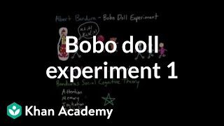 Observational learning Bobo doll experiment and social cognitive theory  MCAT  Khan Academy [upl. by Ellicott388]