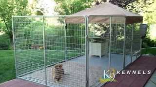 Dog Kennel Ideas  K9 kennel store [upl. by Einwat820]