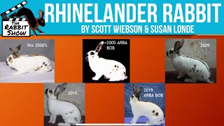 Rhinelander Rabbit Breed [upl. by Swigart690]