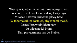 Wierzę w Ciebie Panie [upl. by Tebazile633]