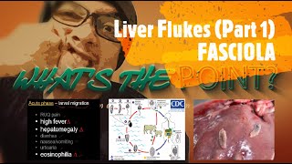 LIVER FLUKES Part 1 of 2  FASCIOLA [upl. by Faxun]