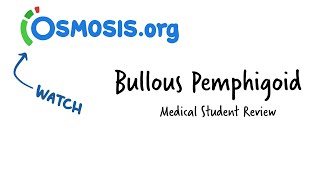 Bullous Pemphigoid Osmosis Study Video [upl. by Anrak512]