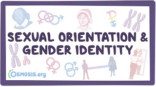 Sexual orientation and gender identity [upl. by Maon]