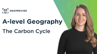 The Carbon Cycle  Alevel Geography  OCR AQA Edexcel [upl. by Naujak]