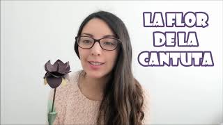 LA FLOR DE LA CANTUTA CANCIÓN INFANTIL [upl. by Fancie]