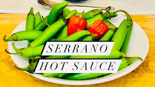 Green Serrano Pepper Hot Sauce  How to Make Easy and Delicious Homemade Hot Sauce [upl. by Anom974]