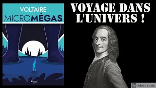 quotMicromégasquot de Voltaire voltaire Lumières Philosophie littérature livres booktube [upl. by Enileuqcaj]