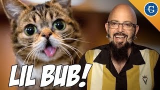 InternetFamous Cat Lil BUB chats with Jackson Galaxy [upl. by Elliven]