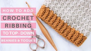 Crochet Ribbing Tutorial Video Tutorial amp Pattern Ideas [upl. by Anal]