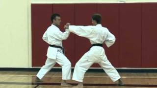 Basic Partner Work Sanbon Kumite Part 1 [upl. by Oal318]