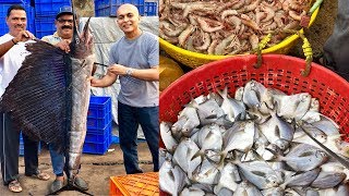 Mangalore’s LARGEST SEAFOOD MARKETIncredible Variety Of SeafoodMangalore BUNDERAffordable Fresh [upl. by Krilov]