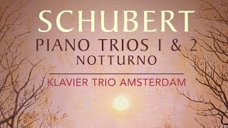 Schubert Piano Trios 1 amp 2 [upl. by Tillman]