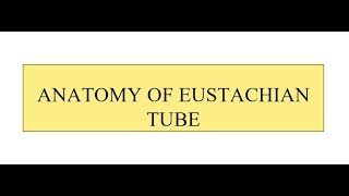 Anatomy of Eustachian Tube [upl. by Ynffit]