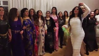 Newroz 2016 Danmark Kurdish dance halparke Govenda Kurdi [upl. by Radmilla]