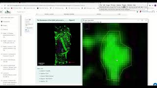 How to measure fluorescence in ImageJ [upl. by Prochora366]