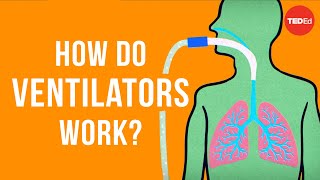 How do ventilators work  Alex Gendler [upl. by Grange63]