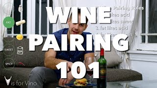 Wine Pairing 101  Super Easy Food and Wine Pairing from V is for Vino [upl. by Eilrahs712]