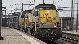 Train at Vilvoorde Station 4K 170125 [upl. by Aiht855]