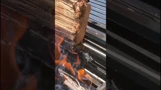 Argentina BBQ Authentic Asado How to season your grill Argentine parrilla grill [upl. by Ytsur]