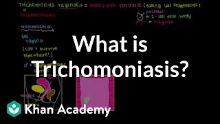 What is trichomoniasis  Infectious diseases  NCLEXRN  Khan Academy [upl. by Anirahs]