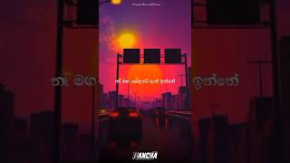 Spaceman  Costa FtDKM Sinhala Rap Song  Short Video shorts [upl. by Alcine]