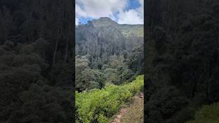 Bandarawela trip trailer [upl. by Colpin]