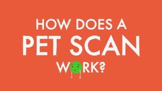 How does a PET scan work [upl. by Eelame]