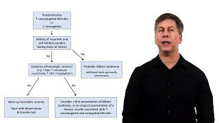 An Approach to Jaundice [upl. by Donall]