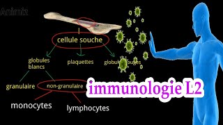 introduction a limmunologie système immunitaire L2 بالعربية [upl. by Sirromad]