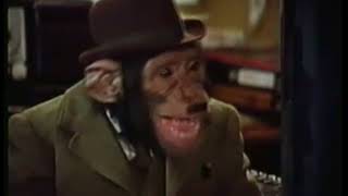 PG Tips Chimps Adverts Full collection [upl. by Yssis]