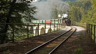 Feistritztalbahn 2013 [upl. by Graybill35]