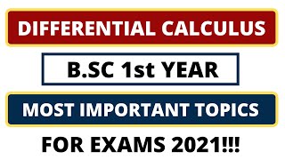 Differential Calculus  Most Important Topics  BSC 1st Year Maths [upl. by Kroy327]