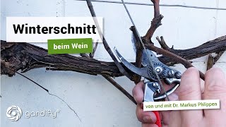 Winterschnitt beim Wein  Weinreben richtig schneiden  gardify Tipps [upl. by Muraida]