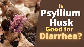 Psyllium Husk for Diarrhea  Does it Help or Cause Diarrhea [upl. by Ahseit859]