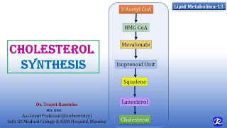 13 Cholesterol Synthesis  Lipid Metabolism13  Biochemistry  NJOY Biochemistry [upl. by Tarra]