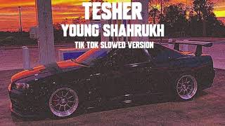 Tesher  YOUNG SHAHRUKH  Tik Tok Slowed Version  i got 500 dollars in cash [upl. by Ynahpit]