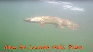 How to Locate Fall PikeFishing Tactics [upl. by Ykcin]