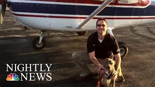 Army Veteran Flies To Save Dogs From Euthanization  NBC Nightly News [upl. by Cowles]