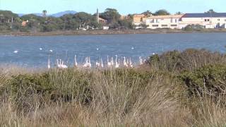 Les salins dHyères [upl. by Pickard]