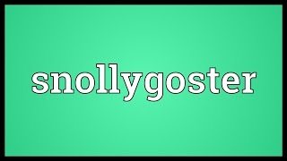 Snollygoster Meaning [upl. by Lecirg]